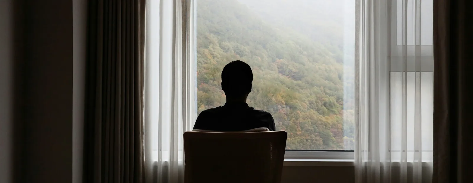 Un homme assis de dos dans un fauteuil regarde, par une grande baie vitrée encadrée de voilages, une montagne boisée dans la brume.