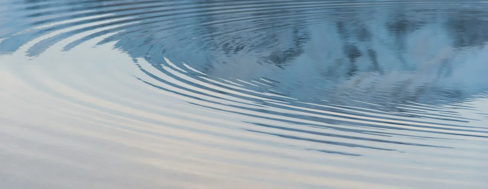 Cercles concentriques qui s’élargissent à la surface d’une eau calme, dans des reflets bleu-gris et mauve pâle.