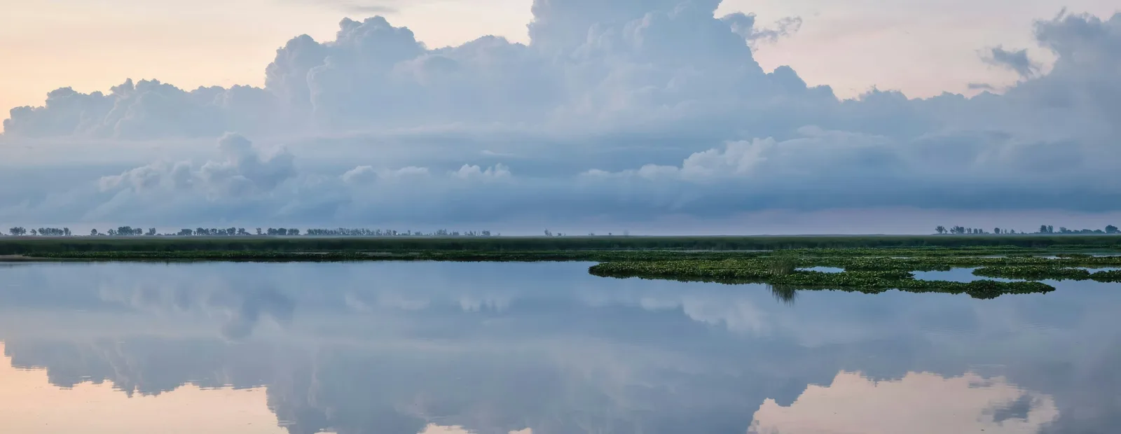 Vaste marais parfaitement calme au lever du jour, où de grands nuages bleutés et un ciel rose pâle se reflètent comme dans un miroir.